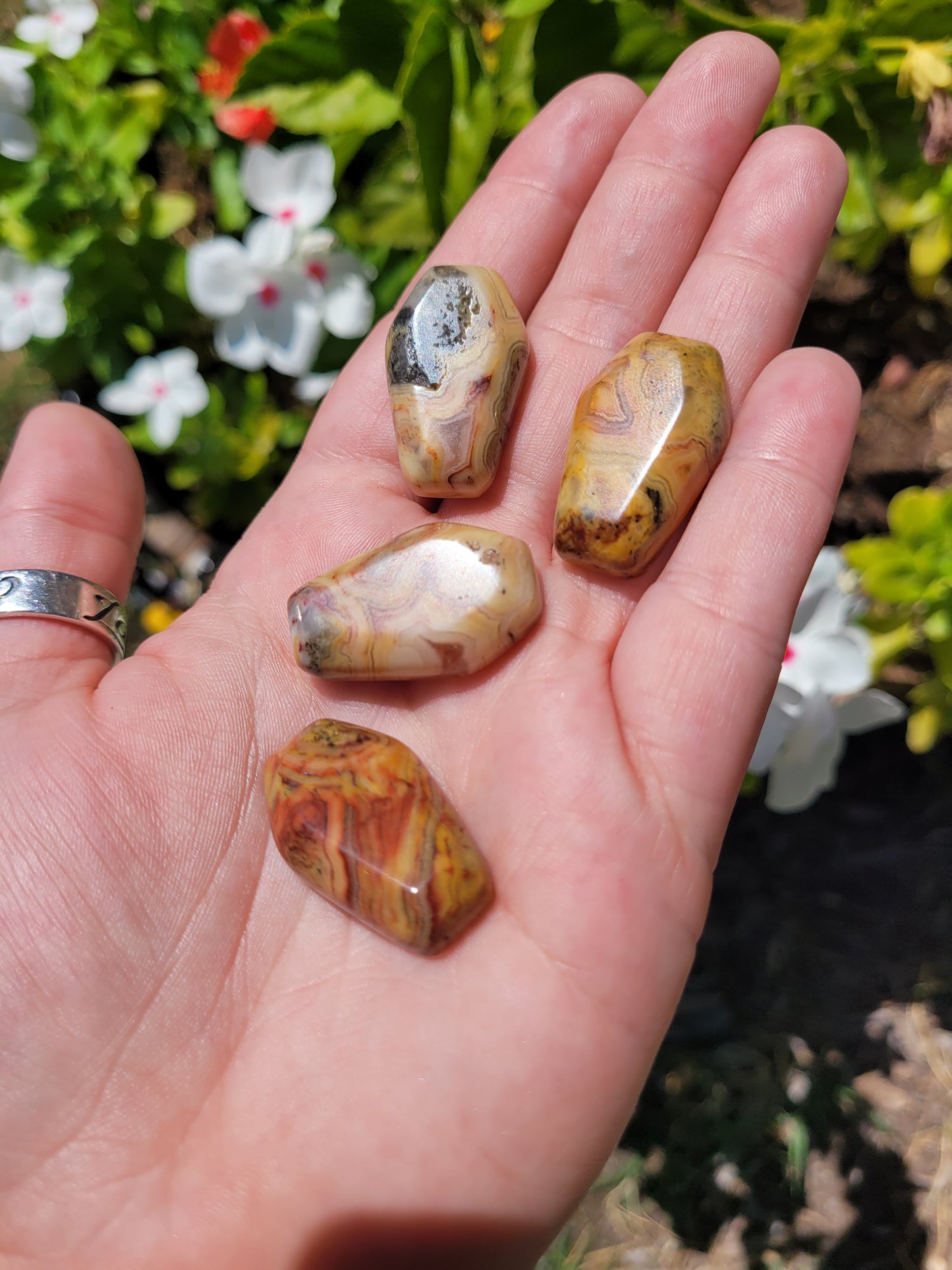 Mini Coffin Carving - Mexican Crazy Lace Agate