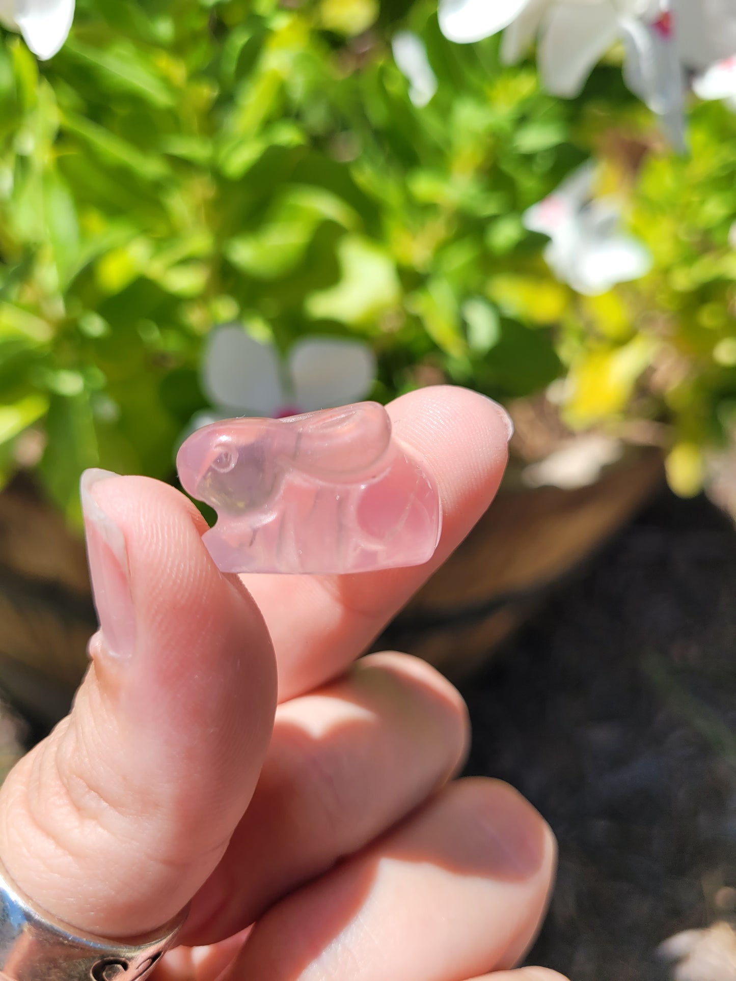 Rose Quartz (Mini) Bunny