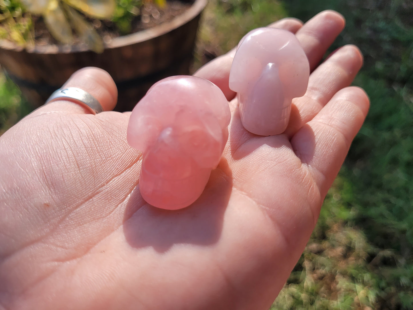 Rose Quartz Skull Crystal Craving