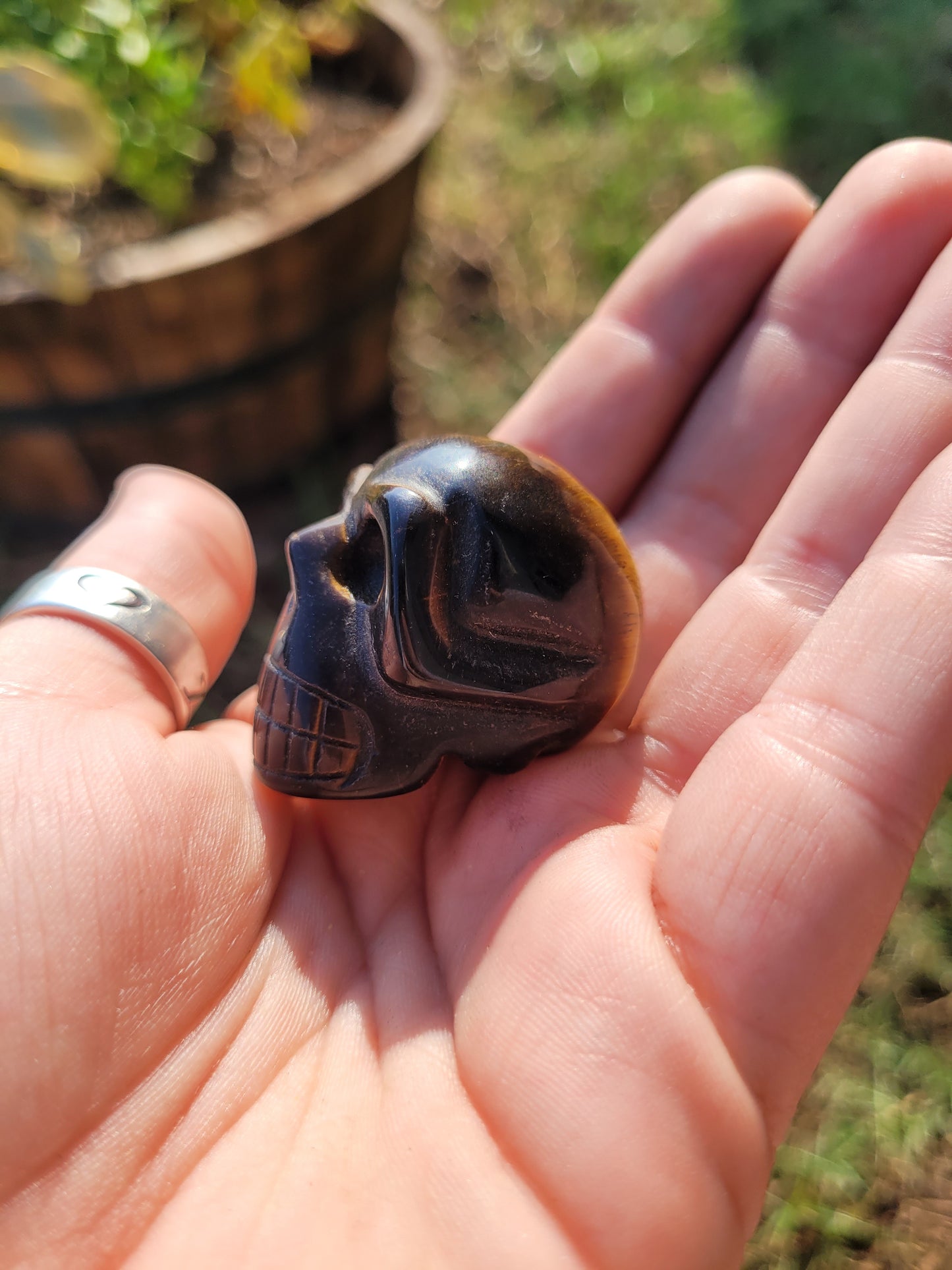 Tigers Eye (Medium) Skull Crystal Carving