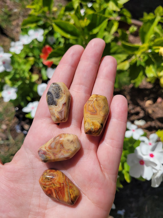 Mini Coffin Carving - Mexican Crazy Lace Agate