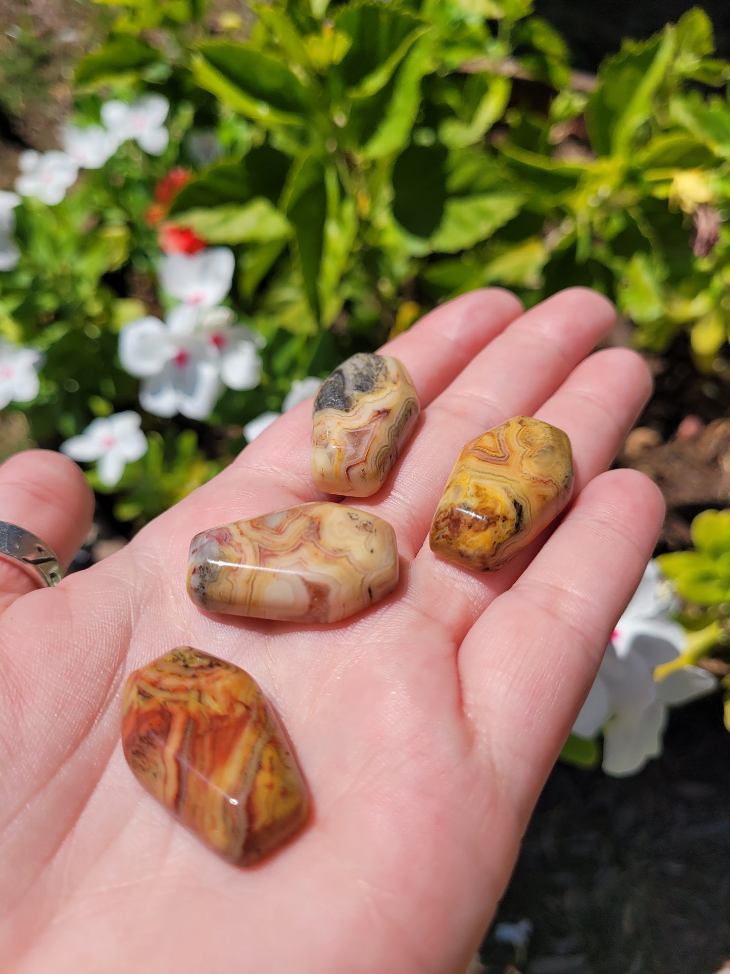 Mini Coffin Carving - Mexican Crazy Lace Agate