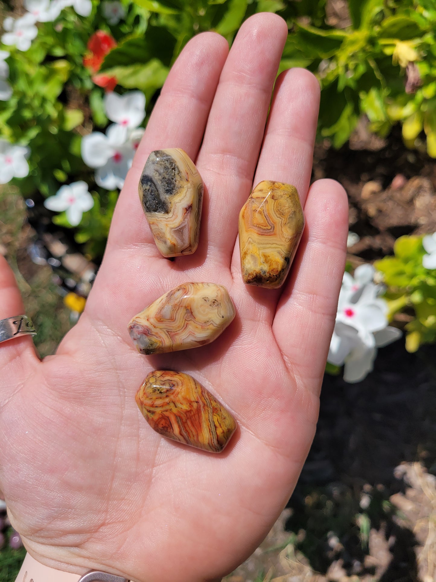 Mini Coffin Carving - Mexican Crazy Lace Agate