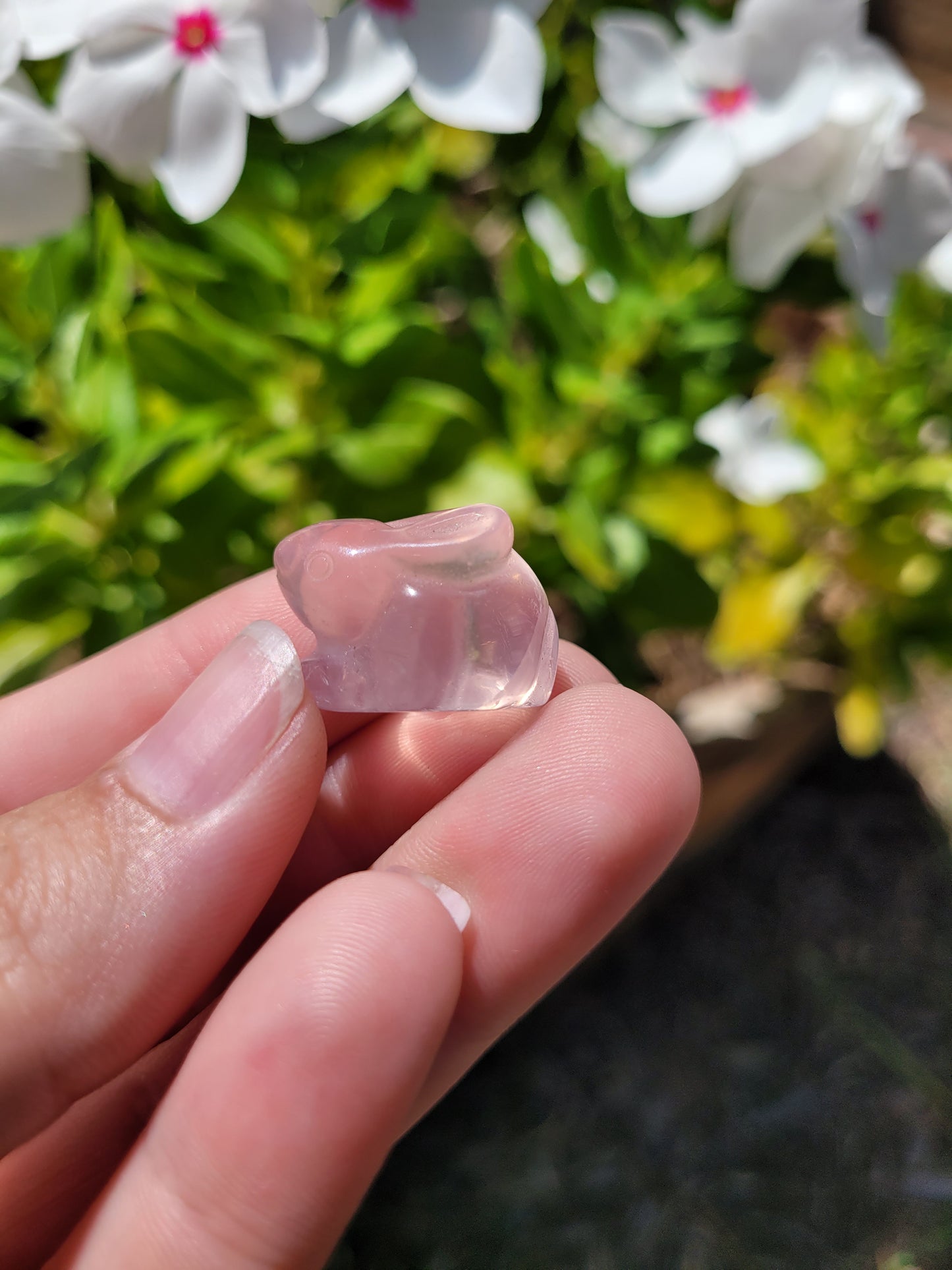 Rose Quartz (Mini) Bunny