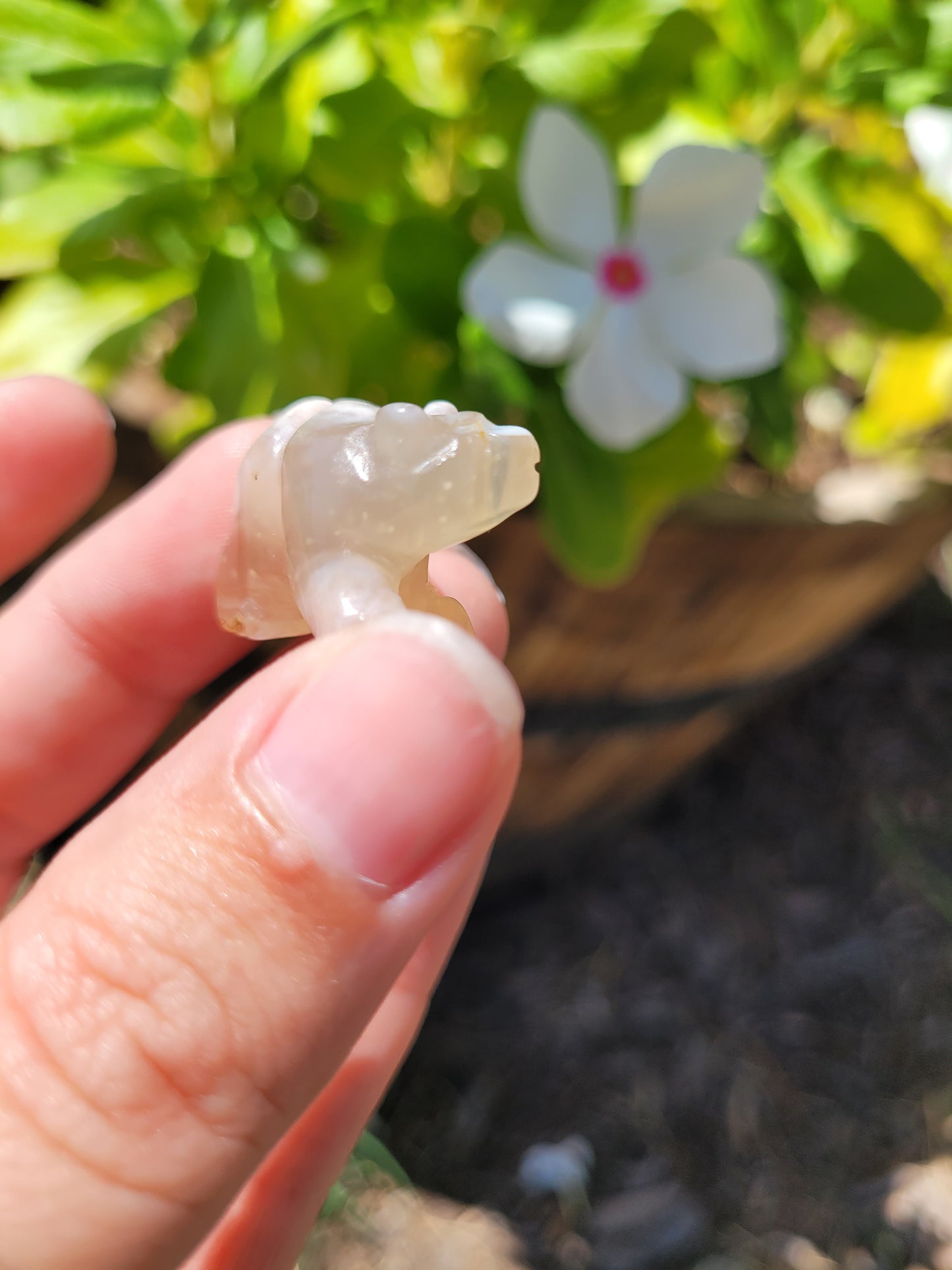 Tiny Flower Agate Bear