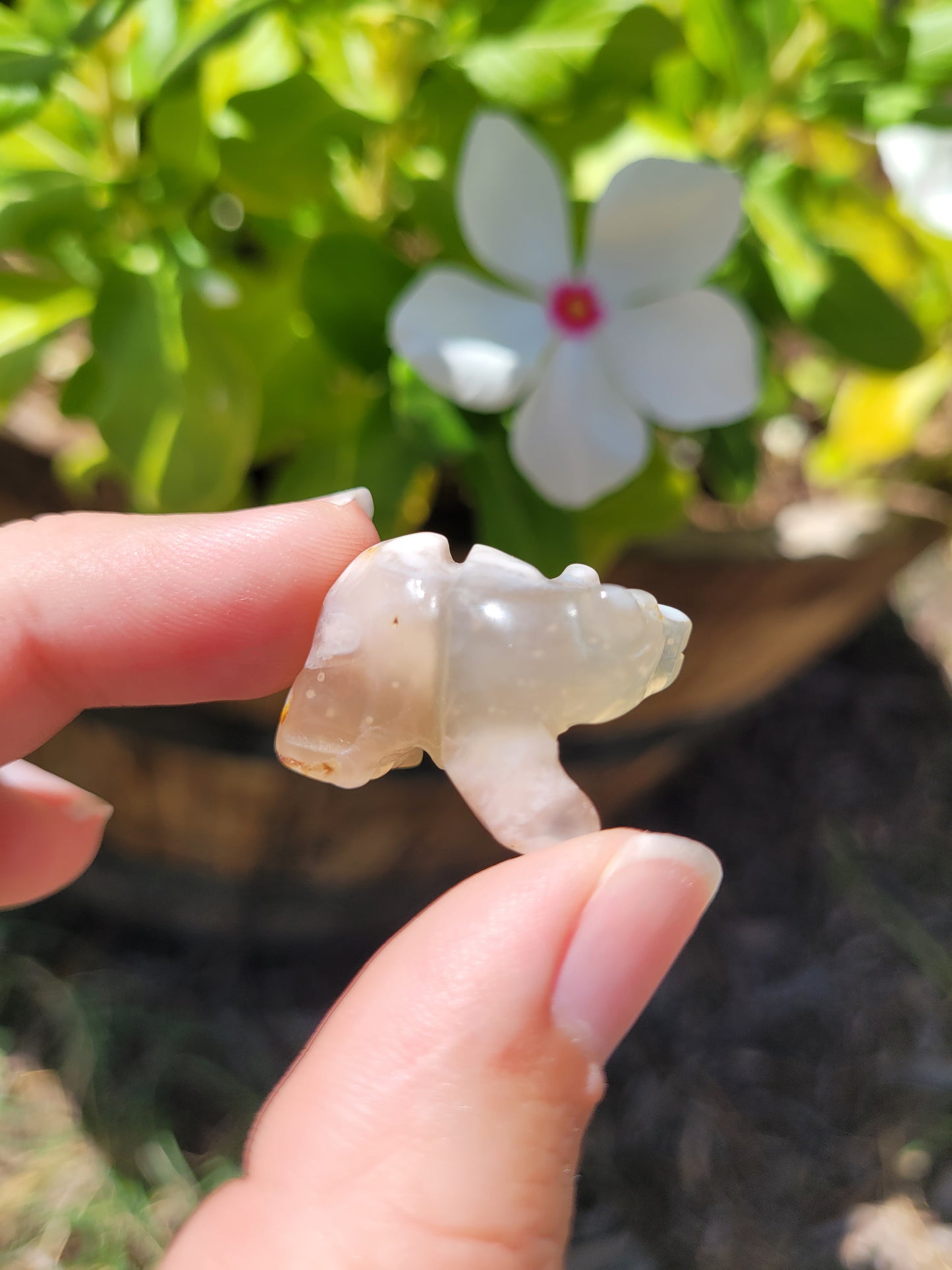 Tiny Flower Agate Bear