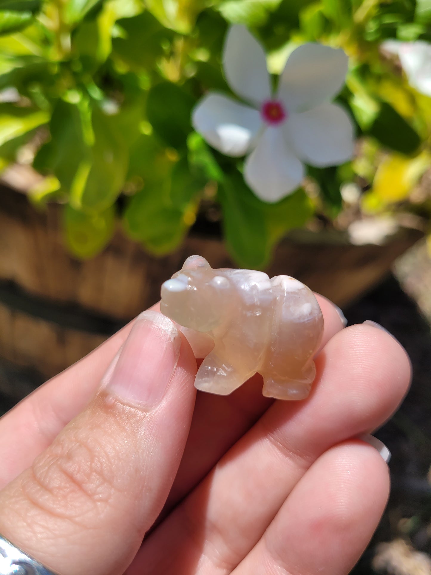 Tiny Flower Agate Bear