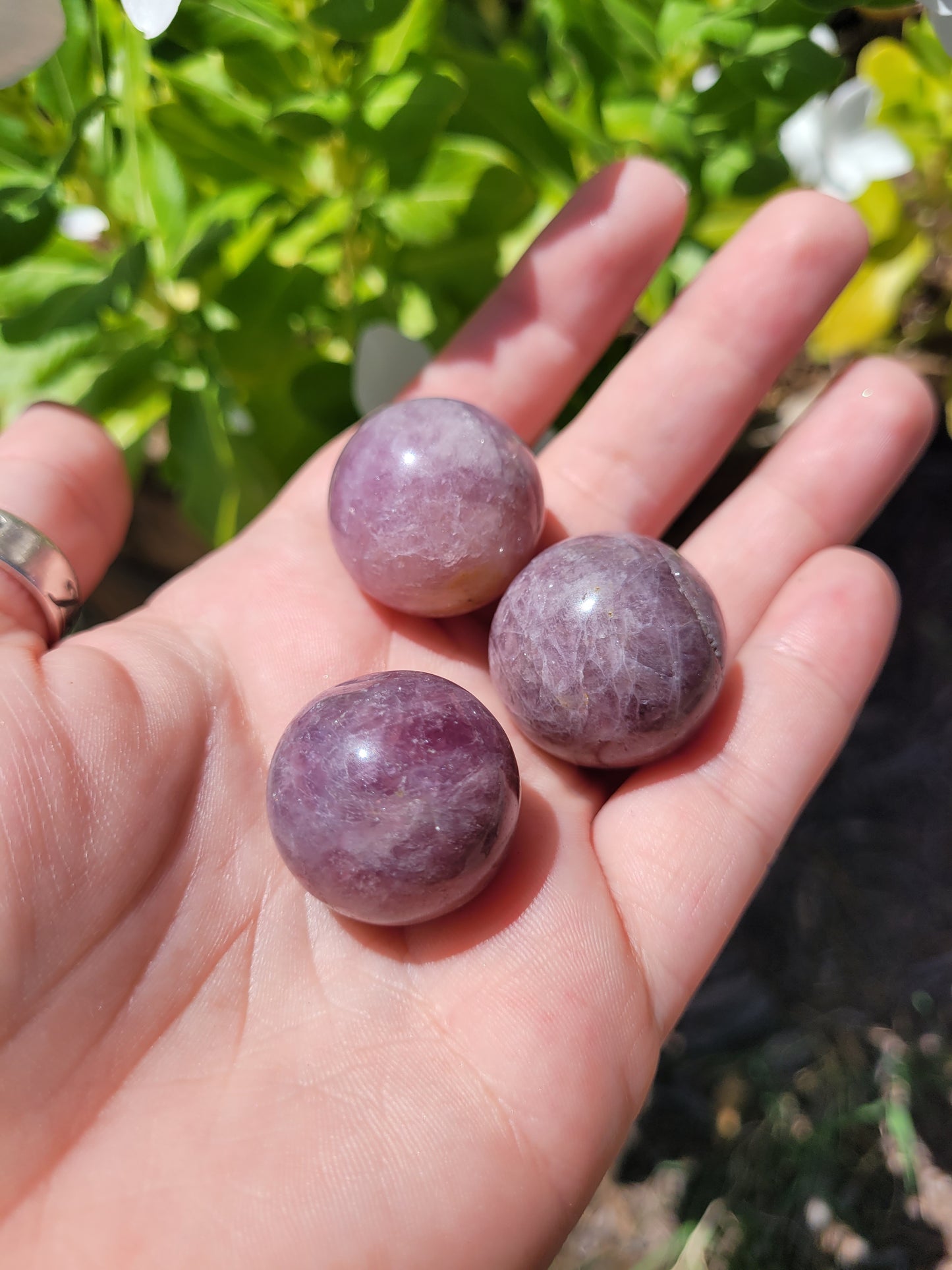 Lavender Rose Quartz Spheres