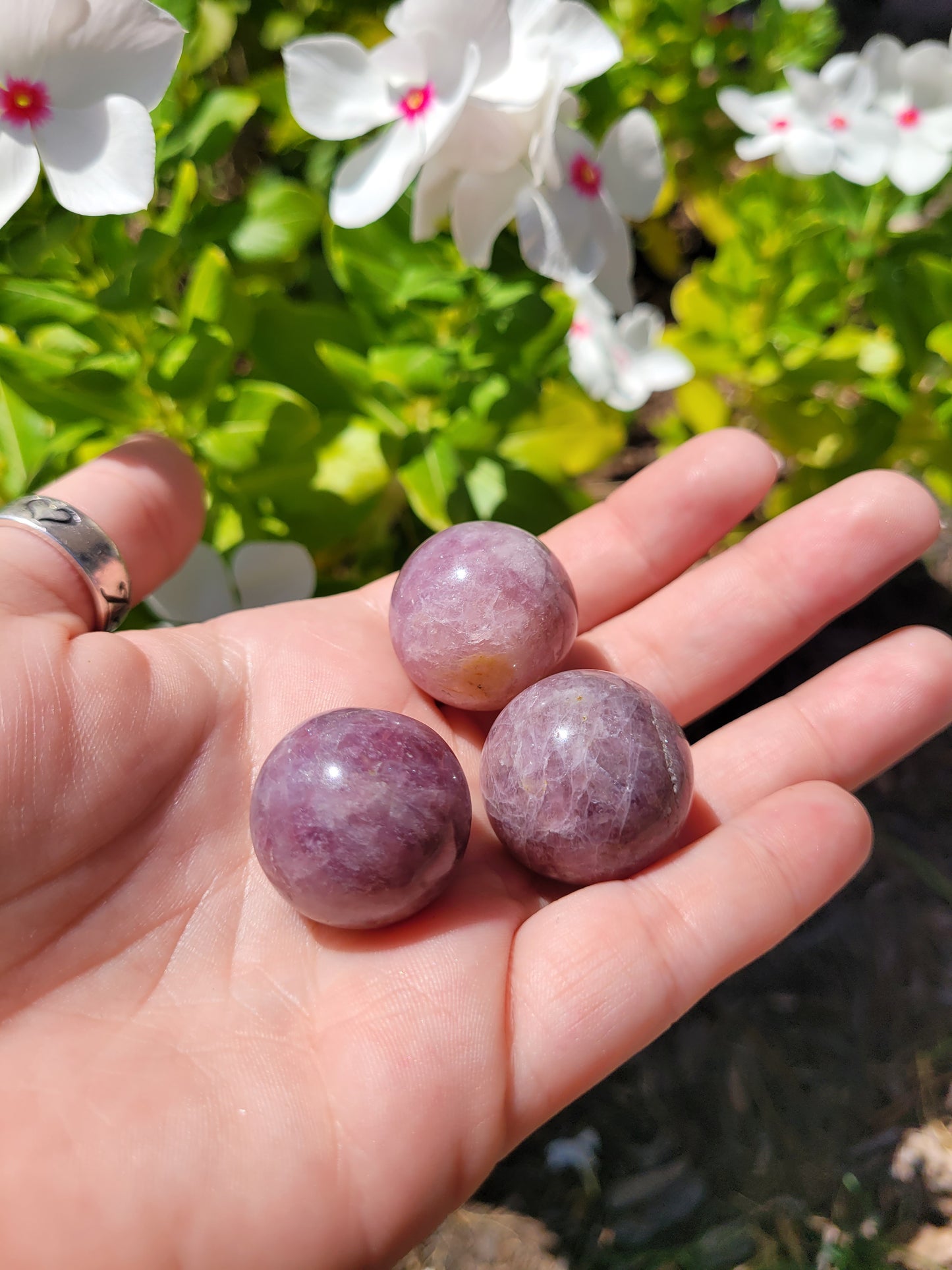 Lavender Rose Quartz Spheres