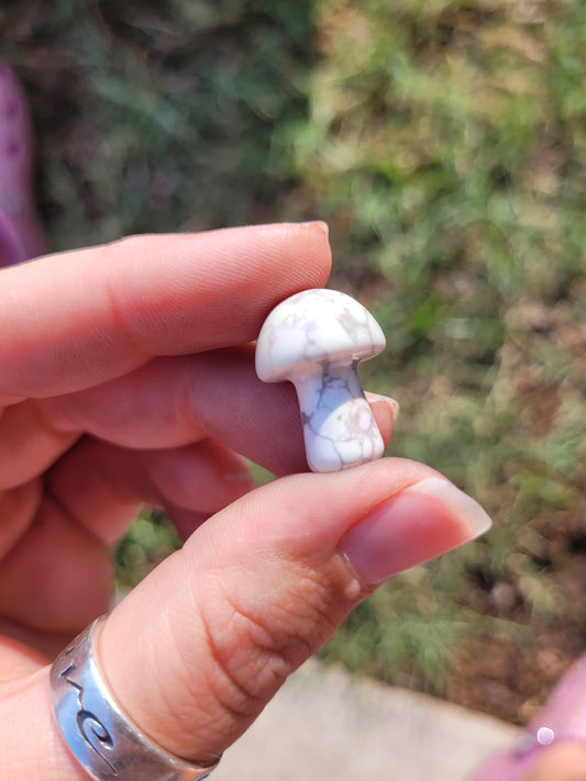 Aura Howlite Mushie