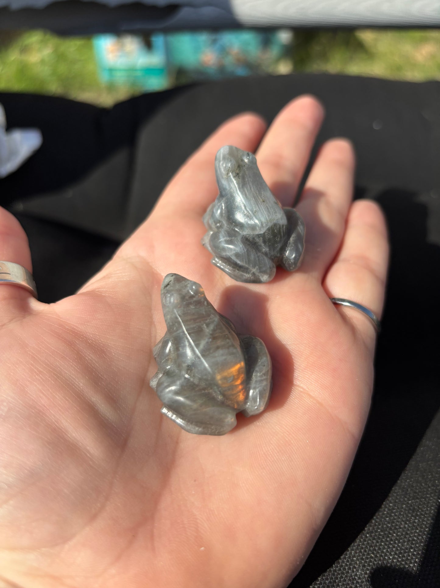 Labradorite Frogs