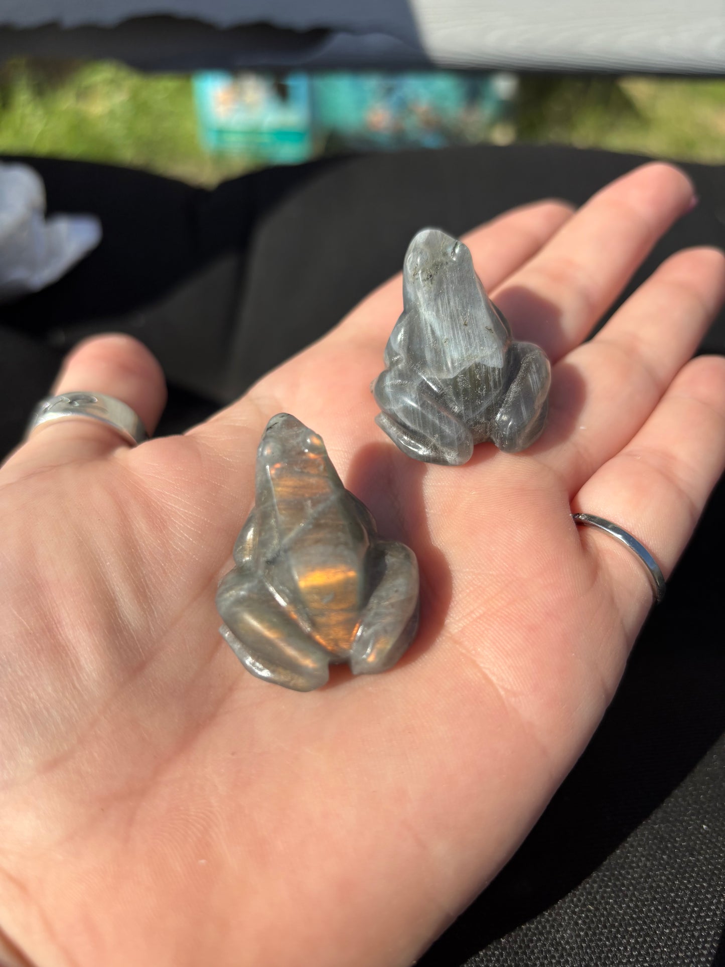 Labradorite Frogs