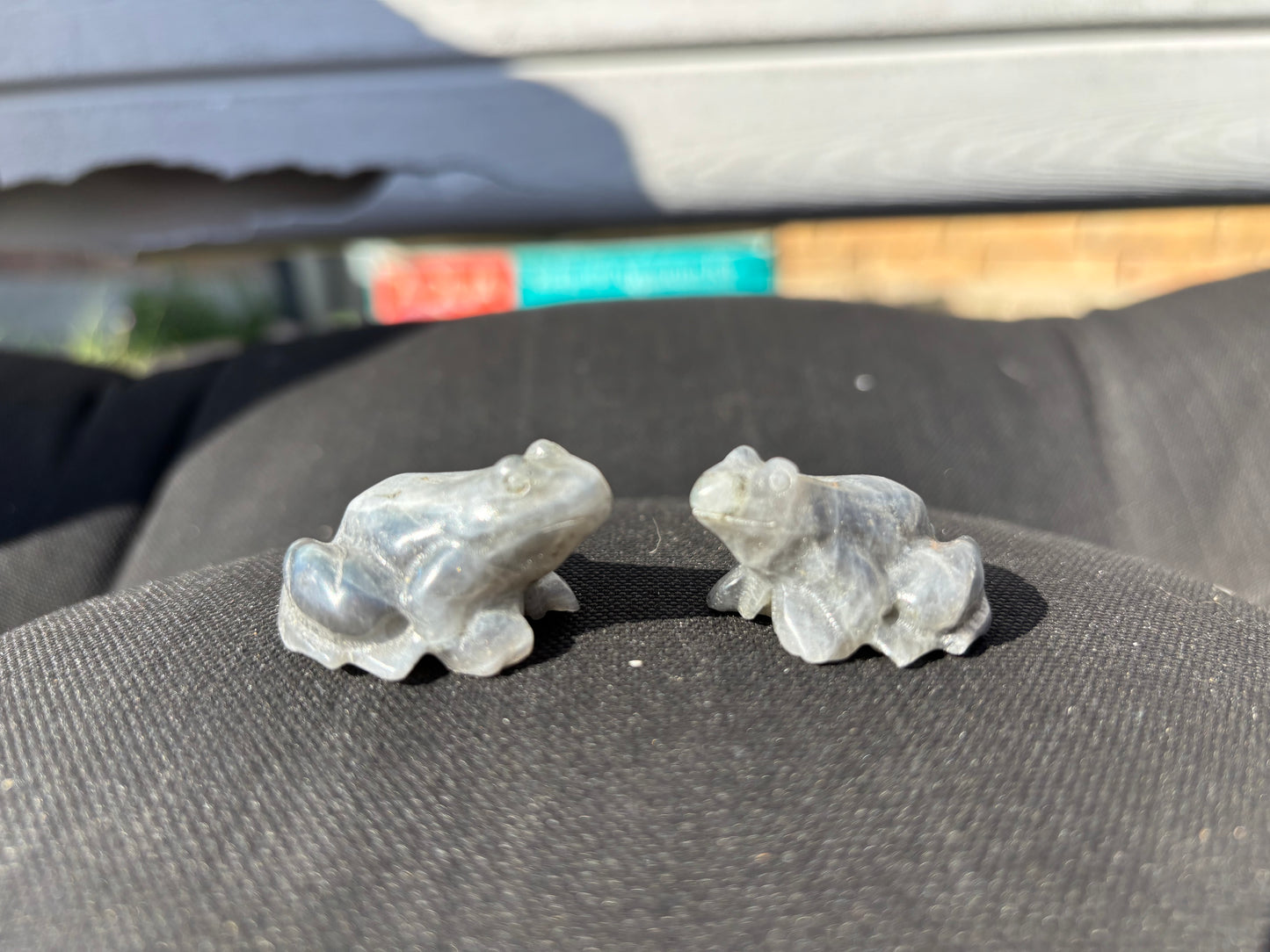 Labradorite Frogs
