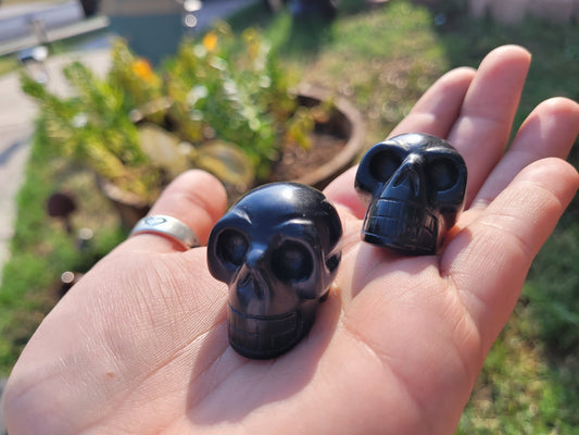 Obsidian Skull (Medium) Crystal Carving