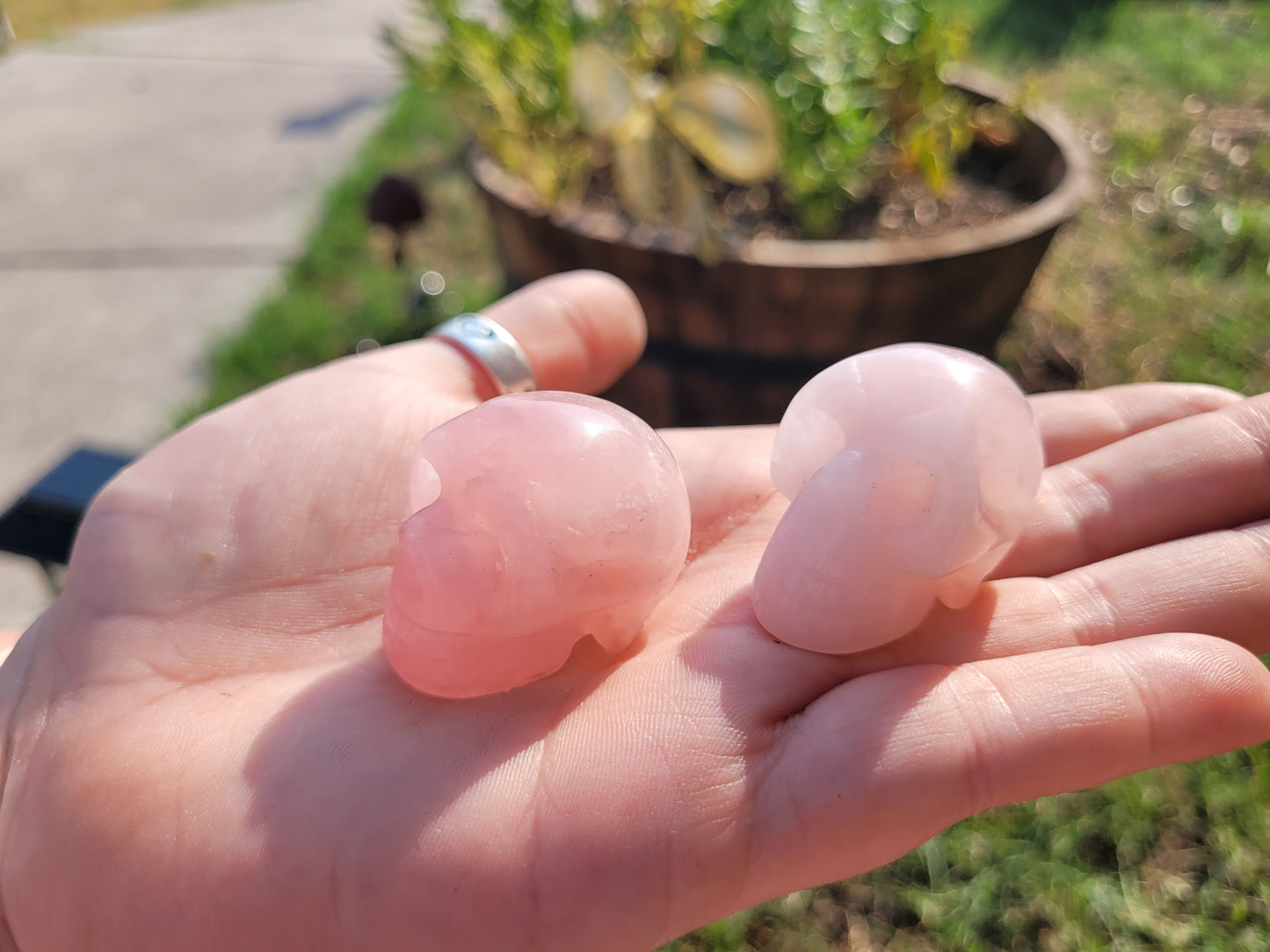 Rose Quartz Skull Crystal Craving