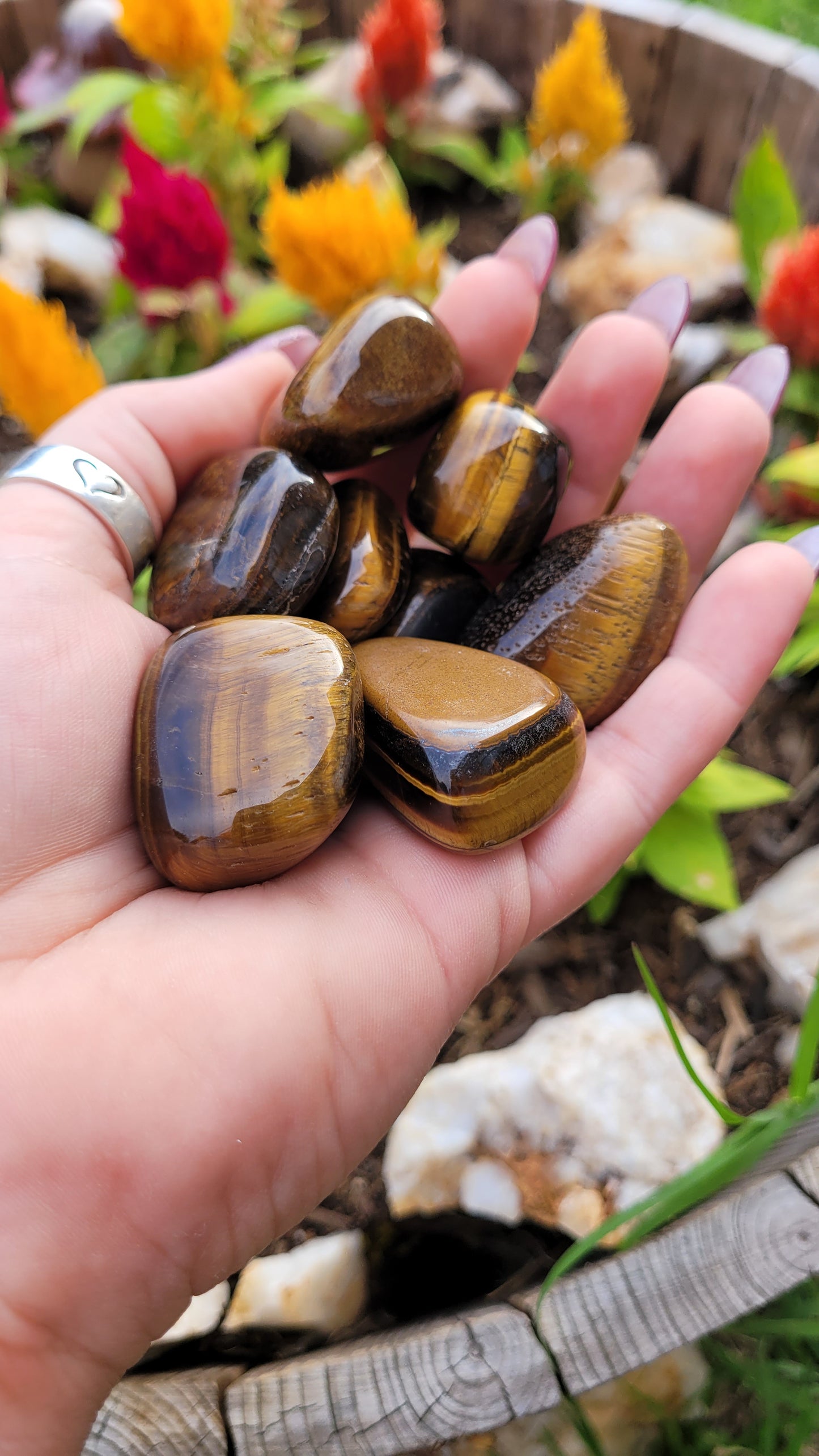 Large Tigers Eye Tumble