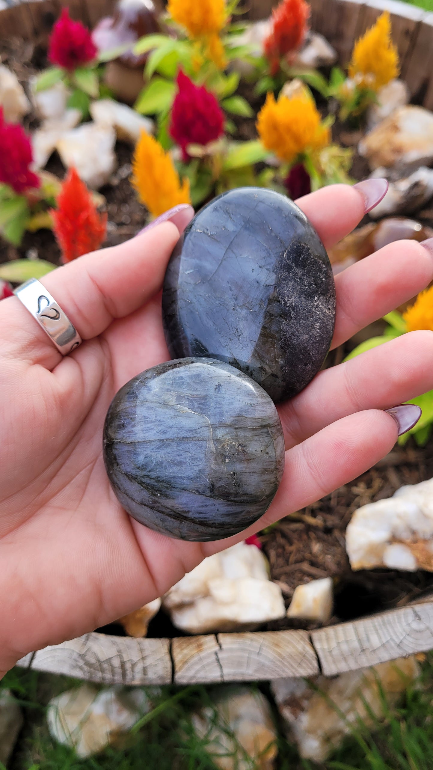 Small Labradorite Palm Stone