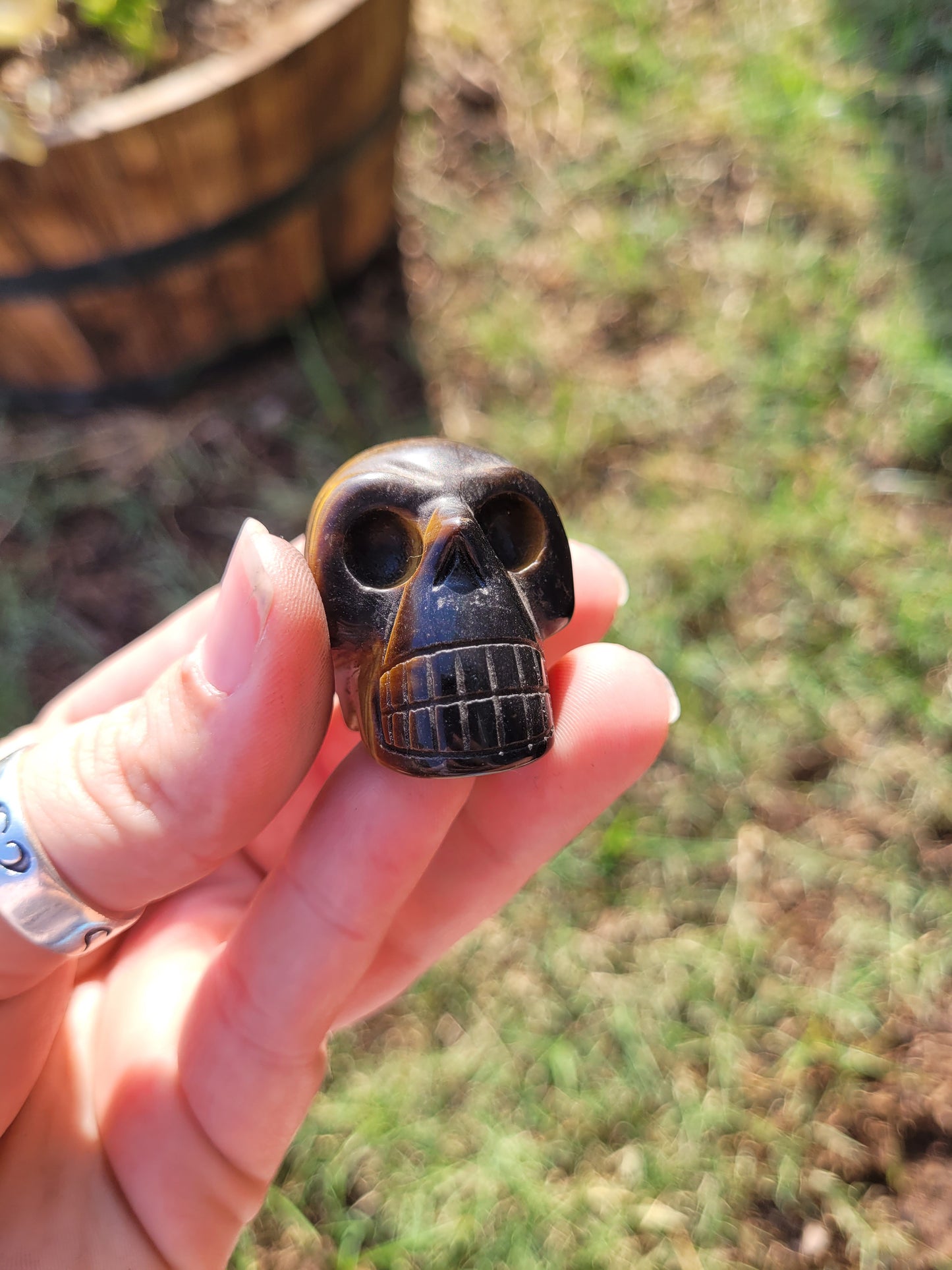 Tigers Eye (Medium) Skull Crystal  Carving