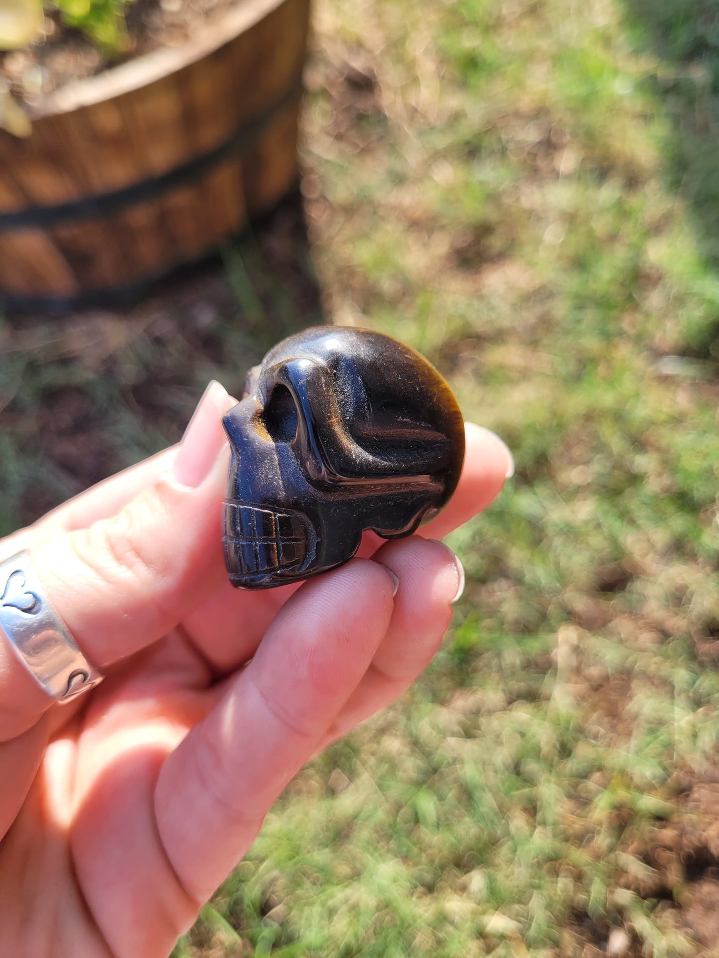 Tigers Eye (Medium) Skull Crystal  Carving