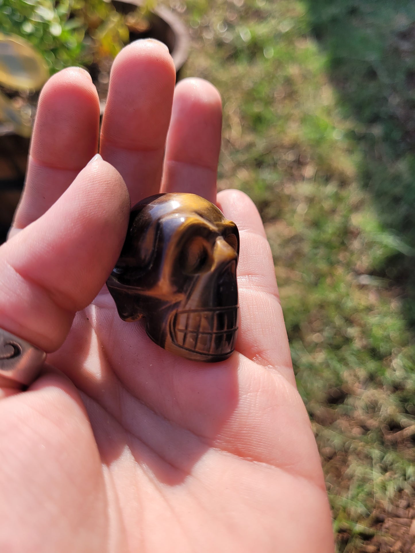 Tigers Eye (Medium) Skull Crystal  Carving