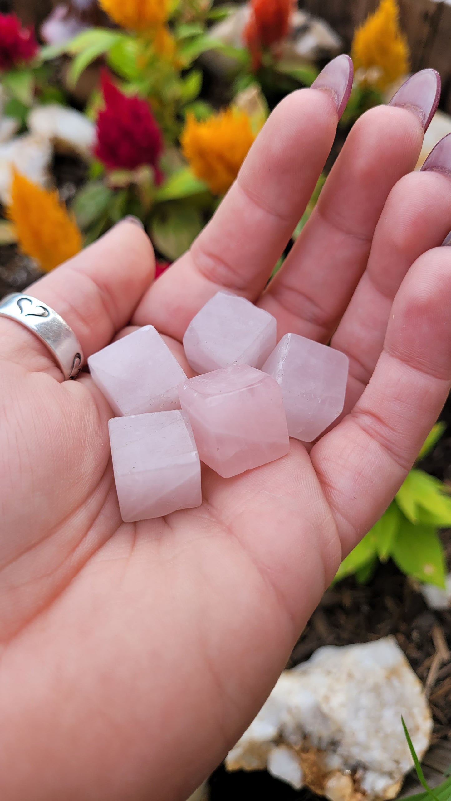 Mini Rose Quartz Cubes