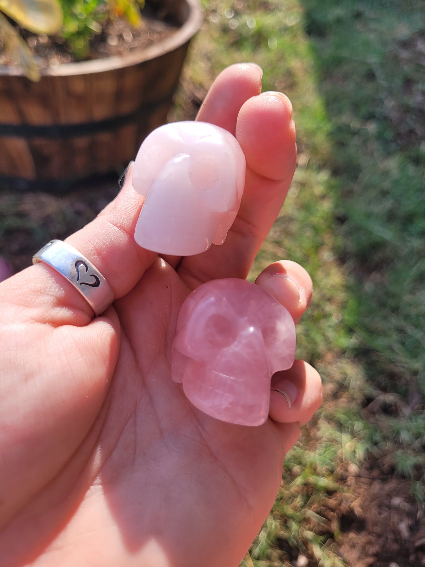 Rose Quartz Skull Crystal Craving