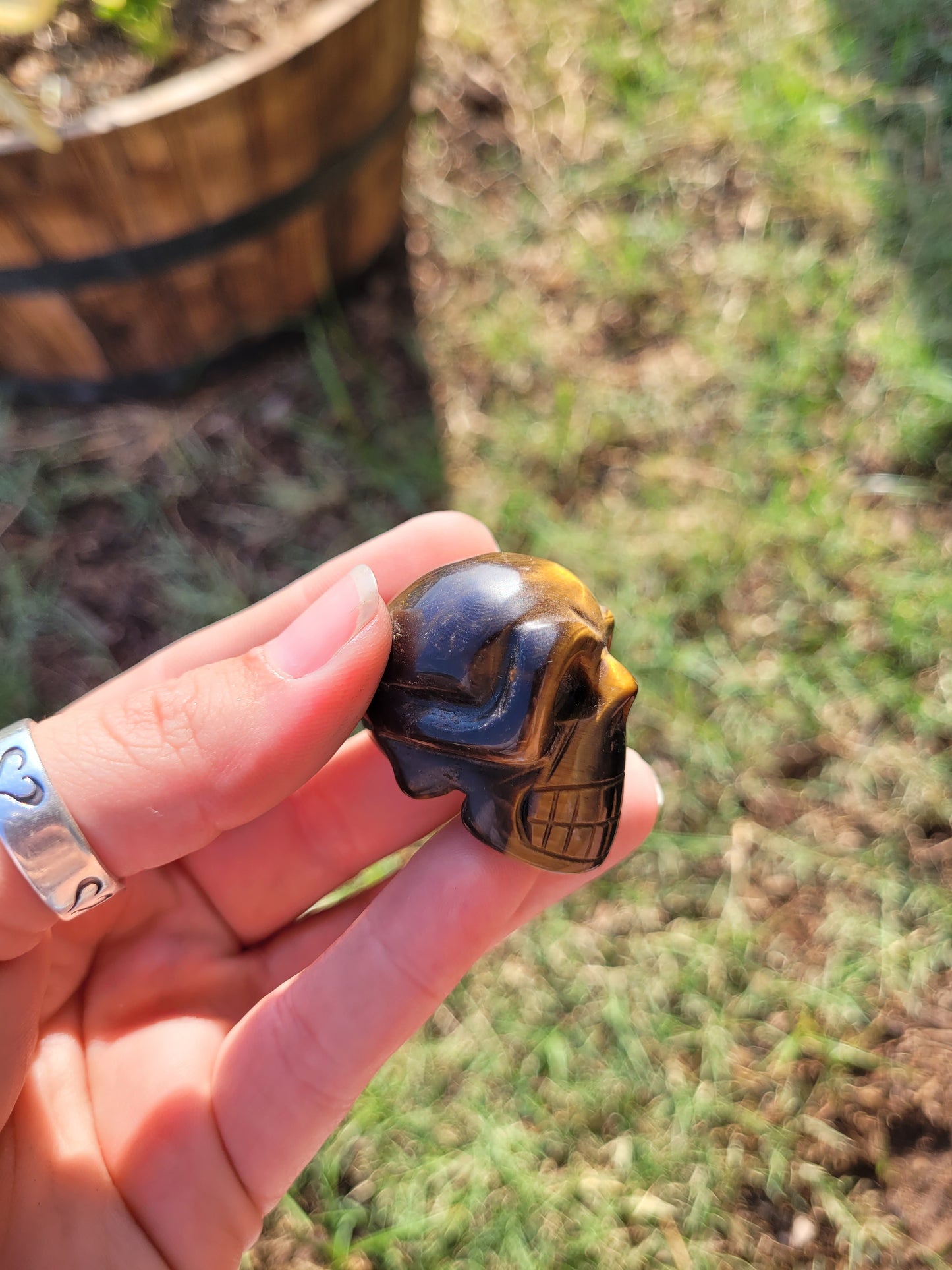 Tigers Eye (Medium) Skull Crystal  Carving