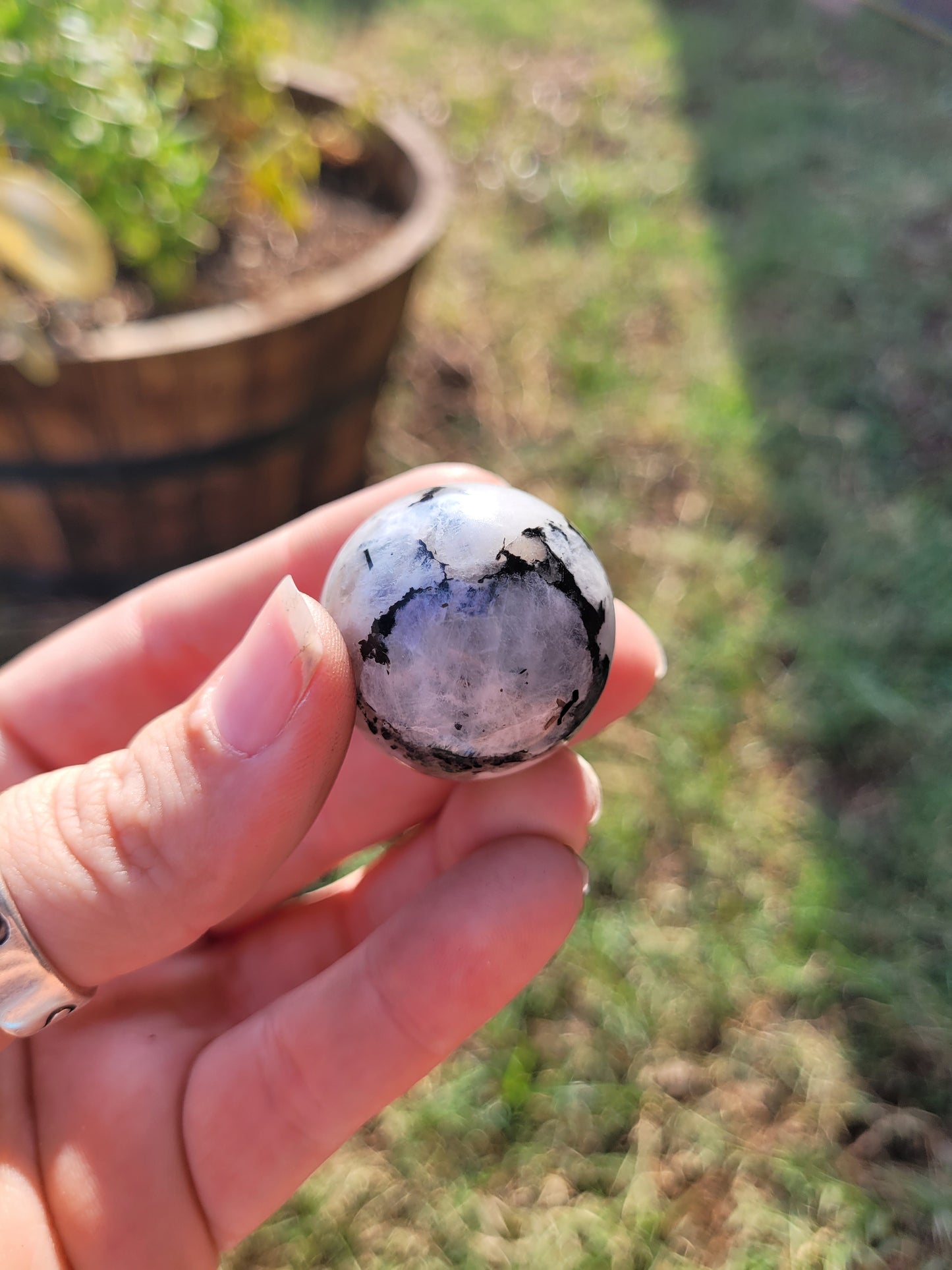 Rainbow Moonstone Sphere with Stand