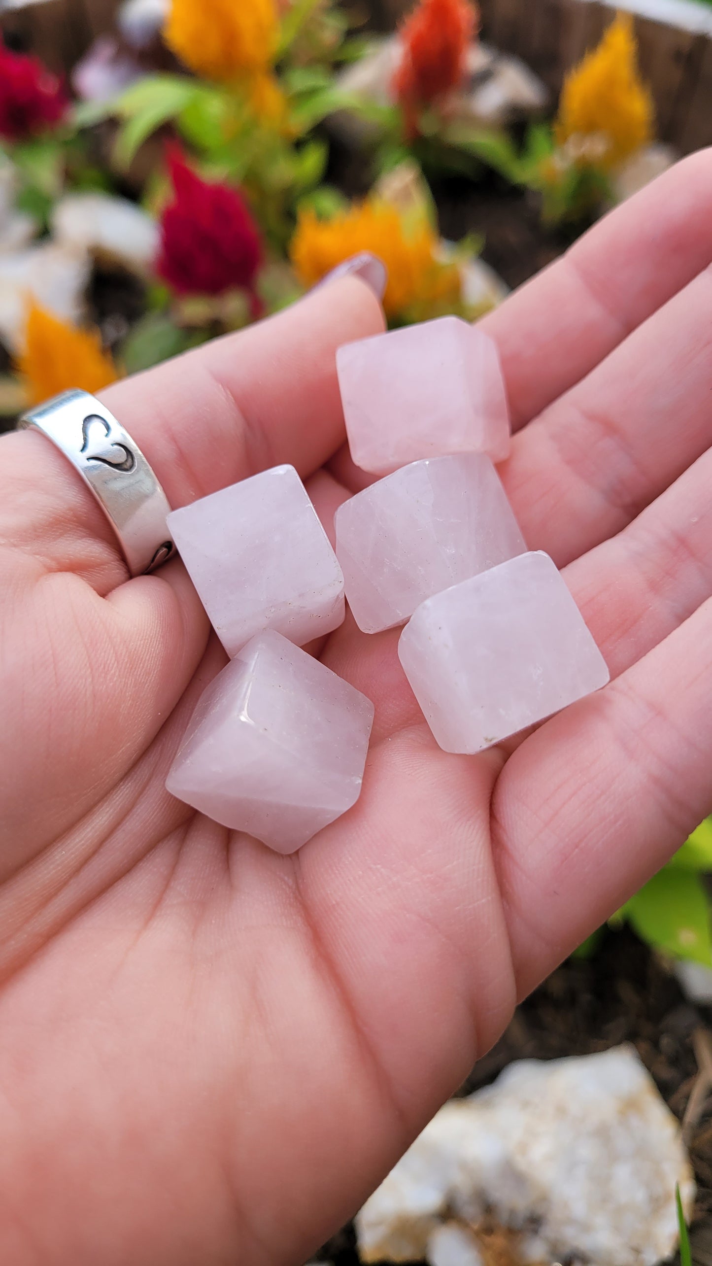 Mini Rose Quartz Cubes