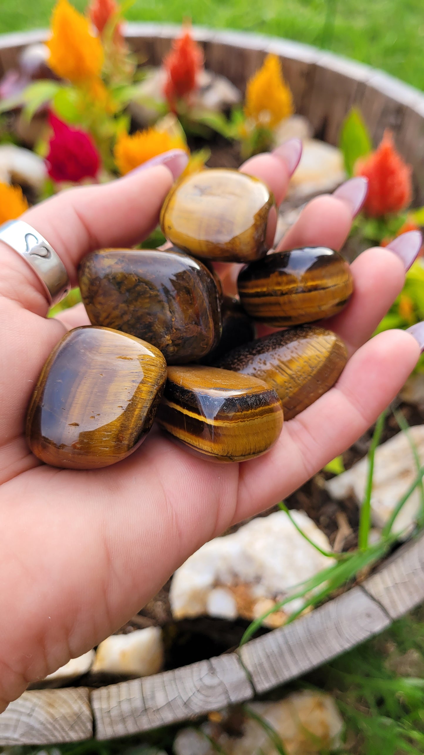 Large Tigers Eye Tumble