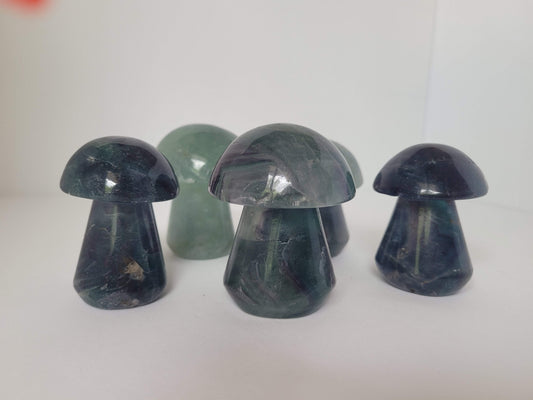 Large Rainbow Fluorite Mushrooms