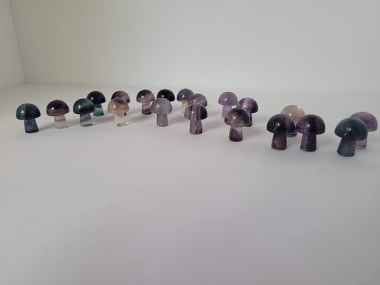 Colorful Fluorite Mini Mushrooms