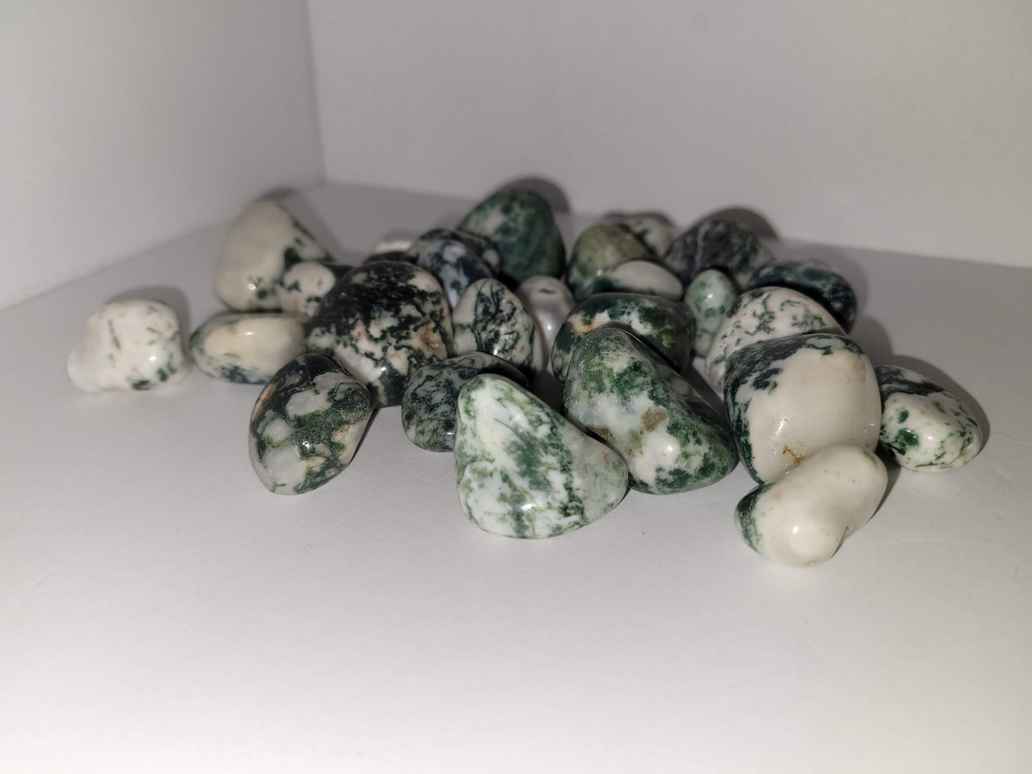 Tree Agate Tumble
