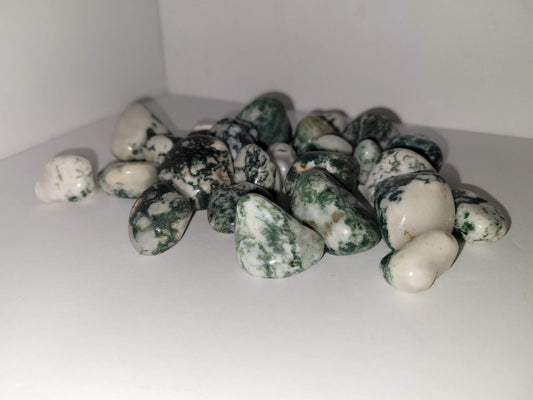 Tree Agate Tumble