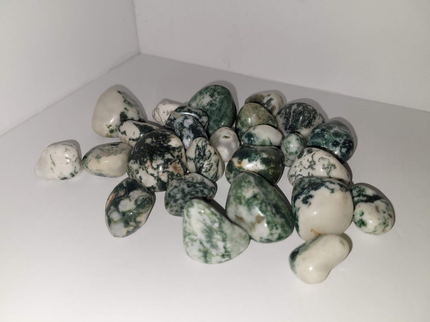 Tree Agate Tumble
