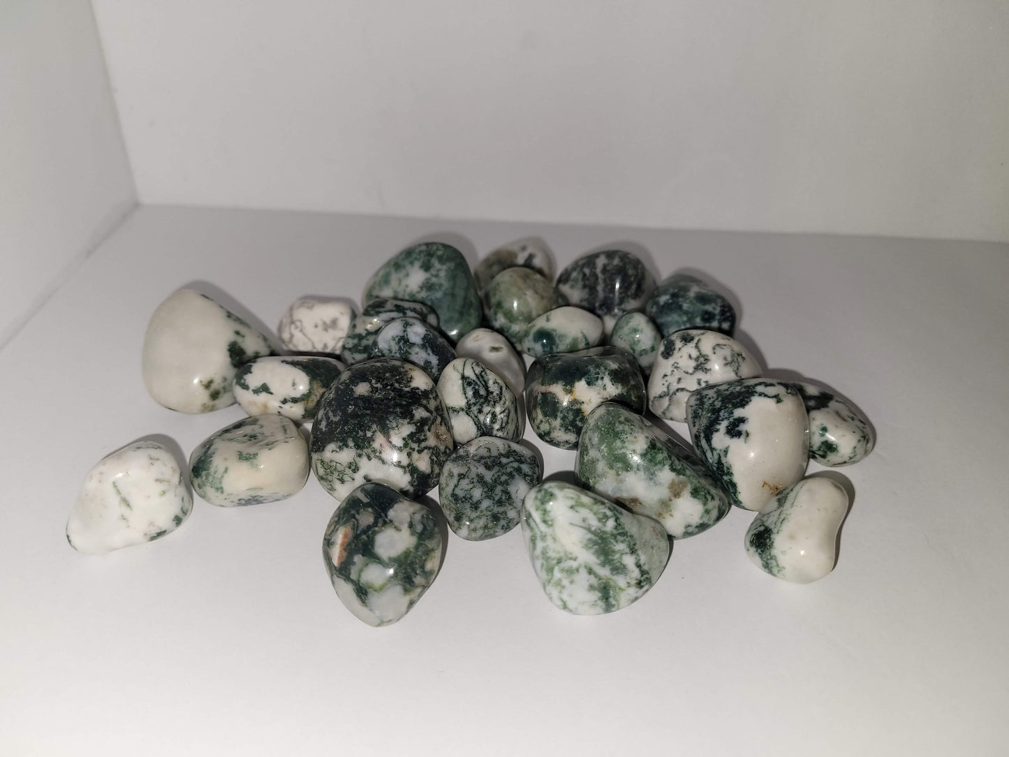 Tree Agate Tumble