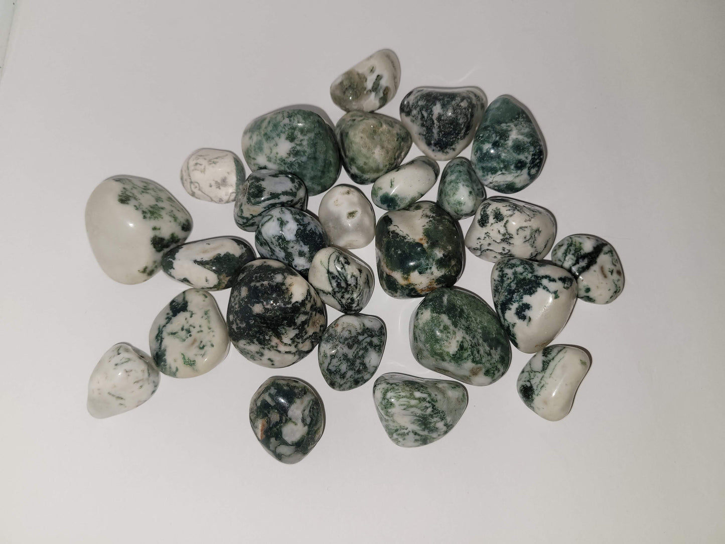 Tree Agate Tumble